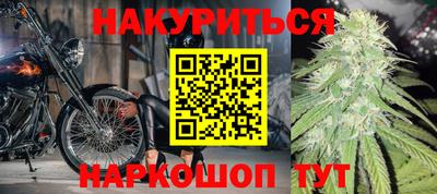 гидра Кингисепп