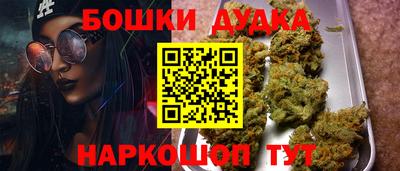 гидра Кингисепп