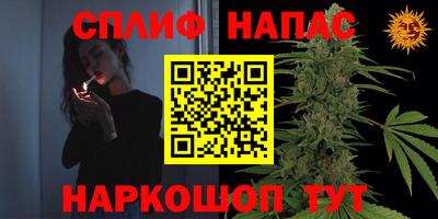 прущие крисы Кимры