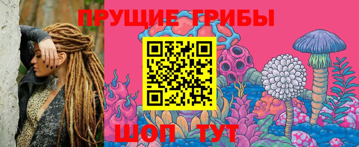 Галлюциногенные грибы мухоморы  Псилоцибиновые грибы Psilocybine cubensis  Железногорск  Вход с VPN 