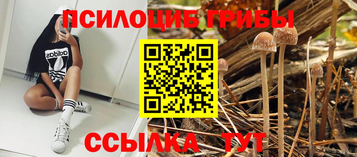 Галлюциногенные грибы мухоморы Железногорск